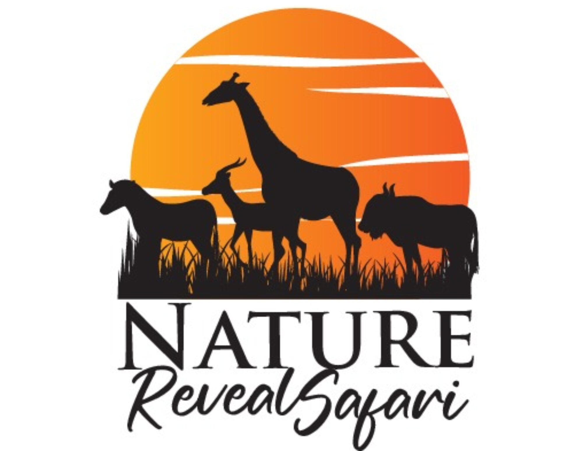 nature-reveal-safaris