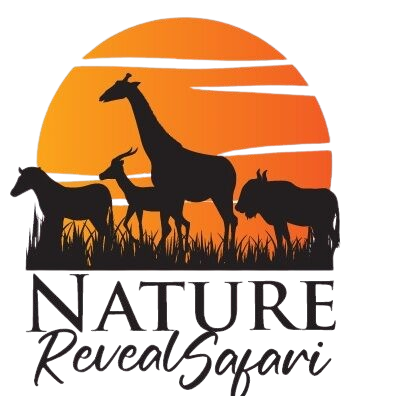 nature-reveal-safaris