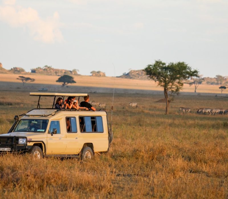 9-DAY-SERENGETI-ADVENTURE-BUDGET-CAMPING-SAFARI-scaled-1
