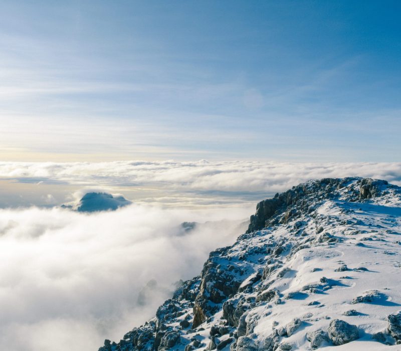 Kilimanjaro Safari Specialist