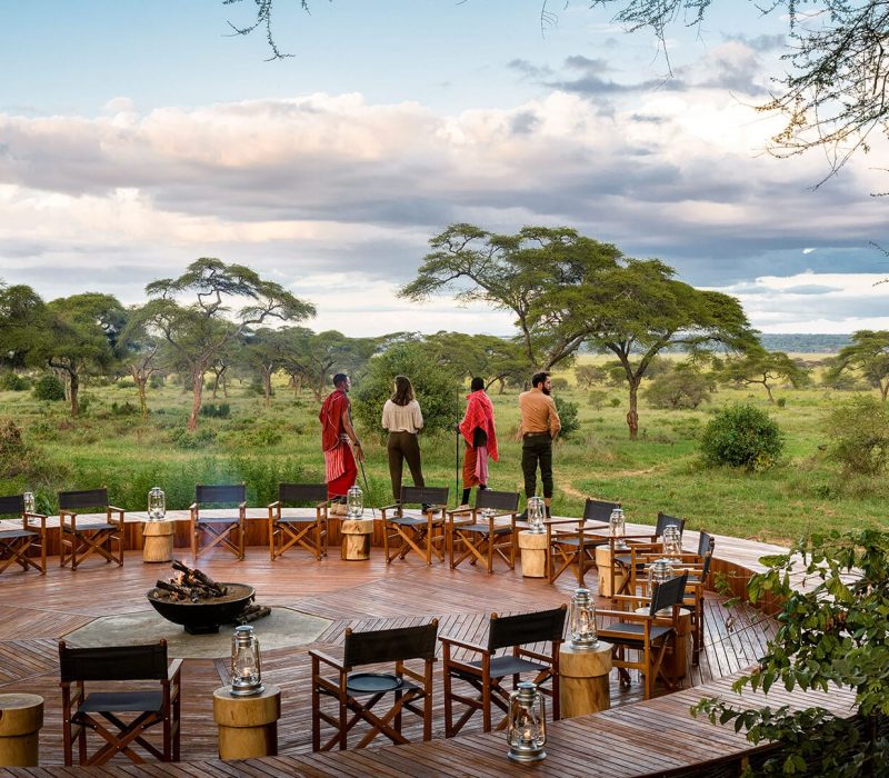 Safari Tanzania Specialist