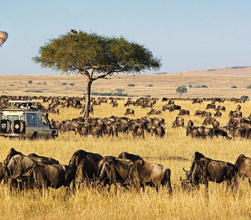 maasai-mara-1110x700