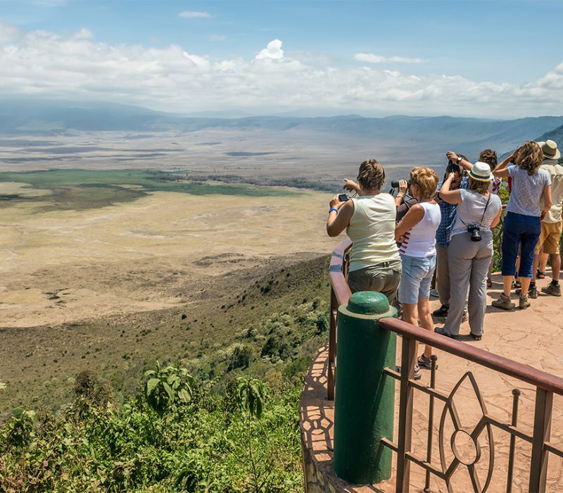 Budget Safari Tanzania specialist